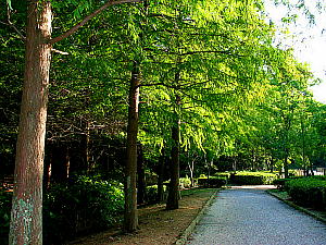 神戸奥須磨公園